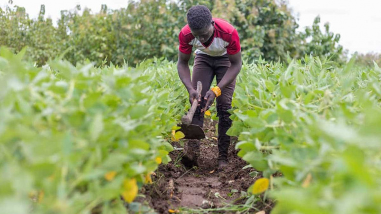 Lire la suite à propos de l’article Crédits, infrastructures, terres…, ces grandes réalisations agricoles dans la Kara