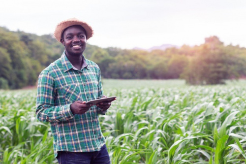 Lire la suite à propos de l’article Agriculture : le ministère recrute 300 techniciens